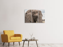 Laden Sie das Bild in den Galerie-Viewer, Leinwandbild 3-teilig XL Elefant