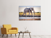 Laden Sie das Bild in den Galerie-Viewer, Leinwandbild 3-teilig Elefant in der Natur