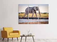 Laden Sie das Bild in den Galerie-Viewer, Leinwandbild 3-teilig Elefant in der Natur