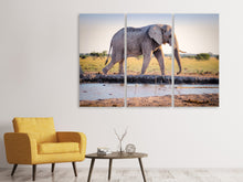 Laden Sie das Bild in den Galerie-Viewer, Leinwandbild 3-teilig Elefant in der Natur