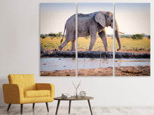 Laden Sie das Bild in den Galerie-Viewer, Leinwandbild 3-teilig Elefant in der Natur
