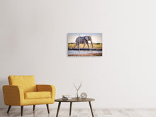 Laden Sie das Bild in den Galerie-Viewer, Leinwandbild 3-teilig Elefant in der Natur