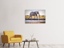 Laden Sie das Bild in den Galerie-Viewer, Leinwandbild 3-teilig Elefant in der Natur