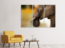 Laden Sie das Bild in den Galerie-Viewer, Leinwandbild 3-teilig Elefant Close up