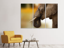 Laden Sie das Bild in den Galerie-Viewer, Leinwandbild 3-teilig Elefant Close up