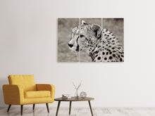Laden Sie das Bild in den Galerie-Viewer, Leinwandbild 3-teilig Schöner Gepard
