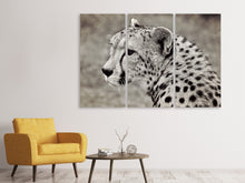 Laden Sie das Bild in den Galerie-Viewer, Leinwandbild 3-teilig Schöner Gepard
