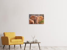 Laden Sie das Bild in den Galerie-Viewer, Leinwandbild 3-teilig Elefanten Ohren