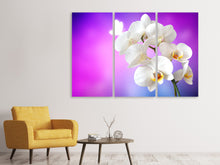 Laden Sie das Bild in den Galerie-Viewer, Leinwandbild 3-teilig Flower Power Orchidee
