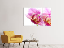 Laden Sie das Bild in den Galerie-Viewer, Leinwandbild 3-teilig Prächtige Phalaenopsis