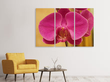 Laden Sie das Bild in den Galerie-Viewer, Leinwandbild 3-teilig Close up Orchidee in pink
