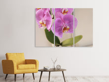 Laden Sie das Bild in den Galerie-Viewer, Leinwandbild 3-teilig Orchideen mit lila Blüten in XL