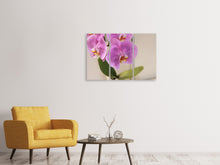 Laden Sie das Bild in den Galerie-Viewer, Leinwandbild 3-teilig Orchideen mit lila Blüten in XL