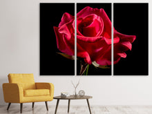 Laden Sie das Bild in den Galerie-Viewer, Leinwandbild 3-teilig Die Blume der Liebe