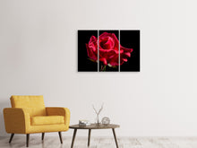 Laden Sie das Bild in den Galerie-Viewer, Leinwandbild 3-teilig Die Blume der Liebe
