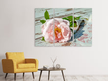 Laden Sie das Bild in den Galerie-Viewer, Leinwandbild 3-teilig Wildrose in rosa