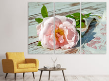 Laden Sie das Bild in den Galerie-Viewer, Leinwandbild 3-teilig Wildrose in rosa