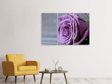 Laden Sie das Bild in den Galerie-Viewer, Leinwandbild 3-teilig Rose in Lila XXL