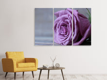Laden Sie das Bild in den Galerie-Viewer, Leinwandbild 3-teilig Rose in Lila XXL