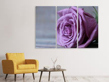 Laden Sie das Bild in den Galerie-Viewer, Leinwandbild 3-teilig Rose in Lila XXL
