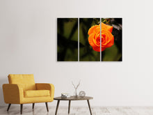 Laden Sie das Bild in den Galerie-Viewer, Leinwandbild 3-teilig Die Blüte der Rose