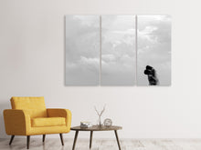 Laden Sie das Bild in den Galerie-Viewer, Leinwandbild 3-teilig In den Wolken