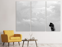 Laden Sie das Bild in den Galerie-Viewer, Leinwandbild 3-teilig In den Wolken