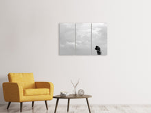 Laden Sie das Bild in den Galerie-Viewer, Leinwandbild 3-teilig In den Wolken