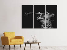 Laden Sie das Bild in den Galerie-Viewer, Leinwandbild 3-teilig Das Gitarren Spiel