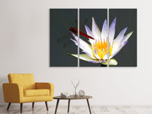 Laden Sie das Bild in den Galerie-Viewer, Leinwandbild 3-teilig Die Libelle auf der Blüte