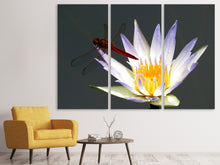 Laden Sie das Bild in den Galerie-Viewer, Leinwandbild 3-teilig Die Libelle auf der Blüte