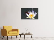 Laden Sie das Bild in den Galerie-Viewer, Leinwandbild 3-teilig Die Libelle auf der Blüte