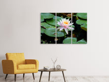 Laden Sie das Bild in den Galerie-Viewer, Leinwandbild 3-teilig Die stolze Seerose