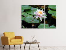 Laden Sie das Bild in den Galerie-Viewer, Leinwandbild 3-teilig Die stolze Seerose