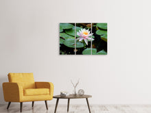 Laden Sie das Bild in den Galerie-Viewer, Leinwandbild 3-teilig Die stolze Seerose