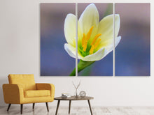 Laden Sie das Bild in den Galerie-Viewer, Leinwandbild 3-teilig Close up gelbe Blüte