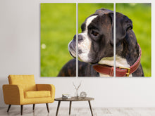 Laden Sie das Bild in den Galerie-Viewer, Leinwandbild 3-teilig Aufmerksamer Boxer