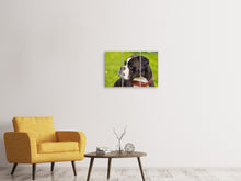 Laden Sie das Bild in den Galerie-Viewer, Leinwandbild 3-teilig Aufmerksamer Boxer