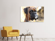 Laden Sie das Bild in den Galerie-Viewer, Leinwandbild 3-teilig Der Boxer Blick