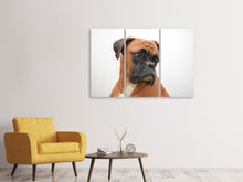 Laden Sie das Bild in den Galerie-Viewer, Leinwandbild 3-teilig Typisch Boxer