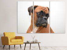 Laden Sie das Bild in den Galerie-Viewer, Leinwandbild 3-teilig Typisch Boxer