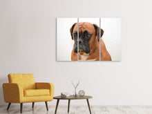 Laden Sie das Bild in den Galerie-Viewer, Leinwandbild 3-teilig Der Boxer