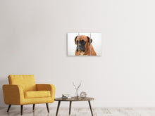 Laden Sie das Bild in den Galerie-Viewer, Leinwandbild 3-teilig Der Boxer