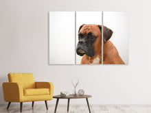 Laden Sie das Bild in den Galerie-Viewer, Leinwandbild 3-teilig Boxer - der Aufpasser