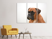 Laden Sie das Bild in den Galerie-Viewer, Leinwandbild 3-teilig Boxer - der Aufpasser