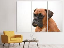 Laden Sie das Bild in den Galerie-Viewer, Leinwandbild 3-teilig Boxer - der Aufpasser