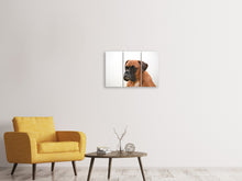 Laden Sie das Bild in den Galerie-Viewer, Leinwandbild 3-teilig Boxer - der Aufpasser