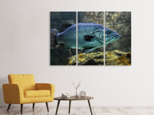 Laden Sie das Bild in den Galerie-Viewer, Leinwandbild 3-teilig Grosser Fisch