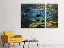 Laden Sie das Bild in den Galerie-Viewer, Leinwandbild 3-teilig Grosser Fisch