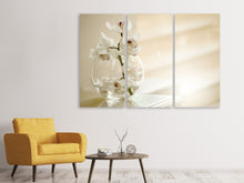 Laden Sie das Bild in den Galerie-Viewer, Leinwandbild 3-teilig Orchidee im Glas